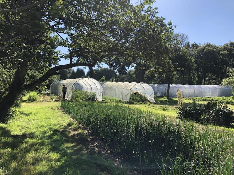 La Terre Ferme - Au Coeur D'Une Ferme Maraichere Saint-Lunaire Exterior foto
